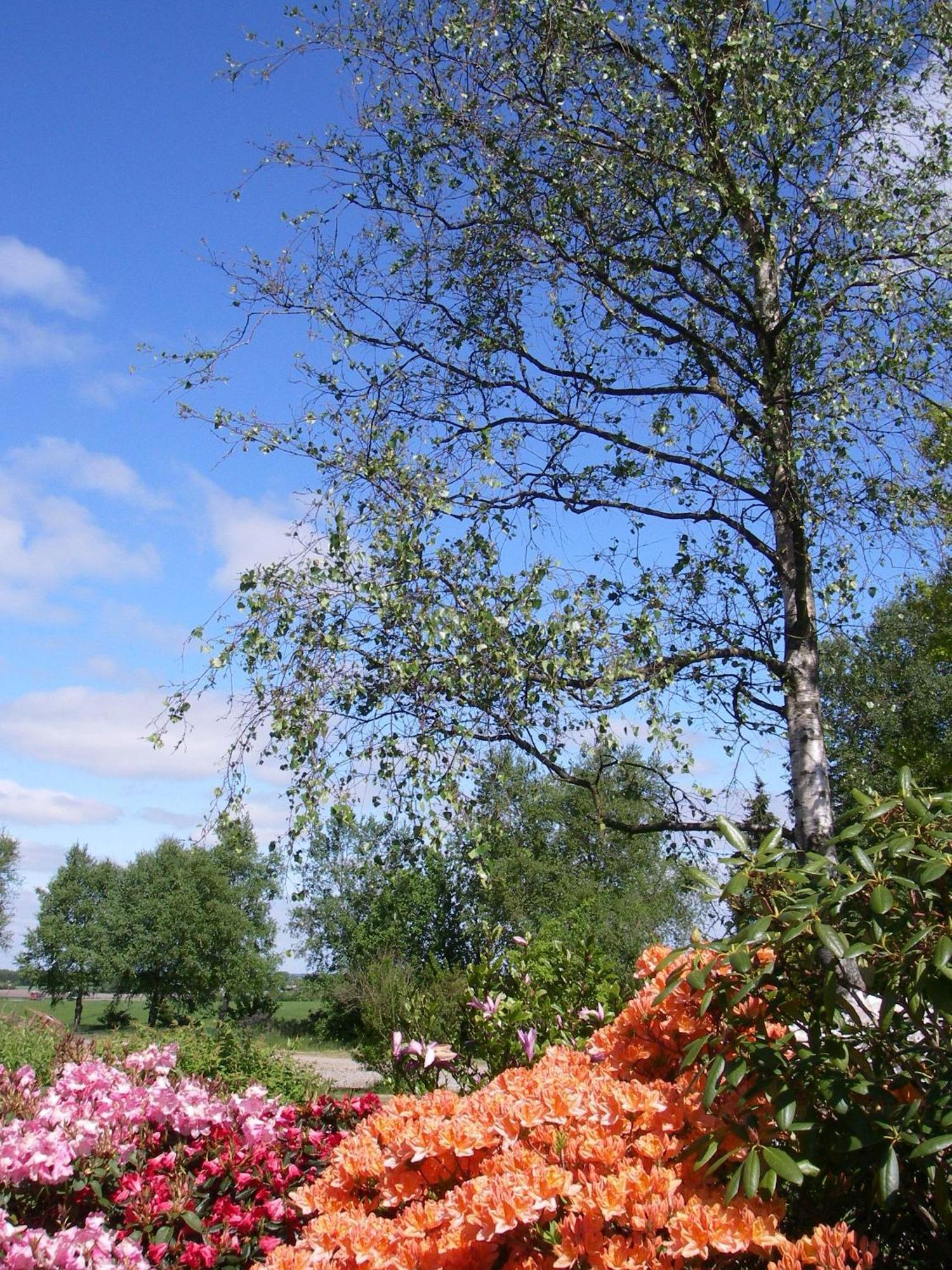 Mikkelborg Kro Rødding Esterno foto